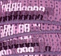 Galon Sequin - Parme