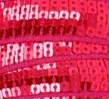 Galon Sequin - Prune