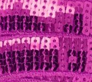 Galon Sequin - Violet