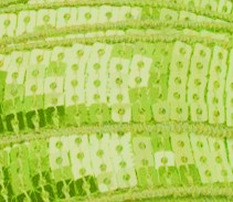 Galon Sequin - Vert Anis