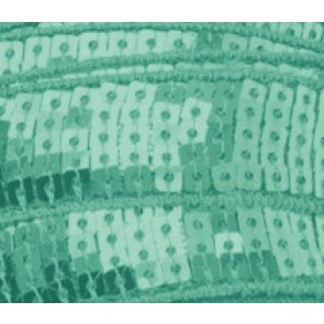 Galon Sequin - Bleu Turquoise