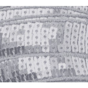Galon Sequin - Argent