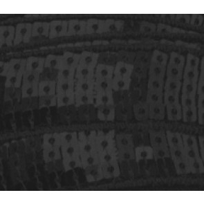 Galon Sequin - Noir